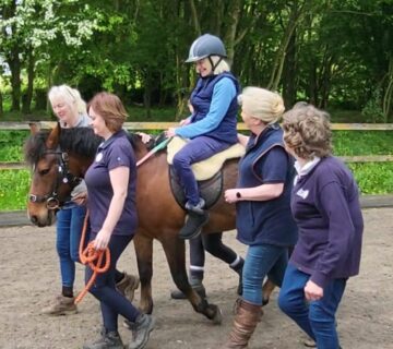 9e3b0dcd 1e53 4bf6 a38e 929d4ff9d88e 002 360x320